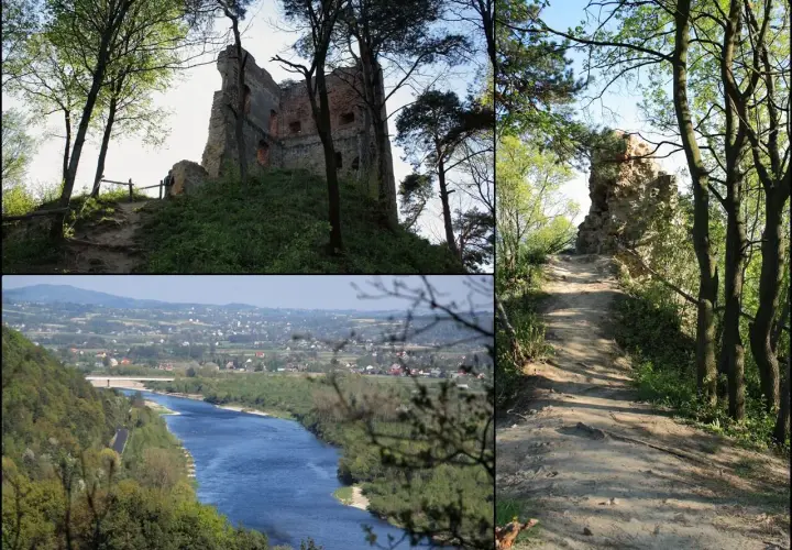 Ruiny zamku w Melsztynie na wzgórzu, ścieżka prowadząca do nich i widok na dolinę Wisły.