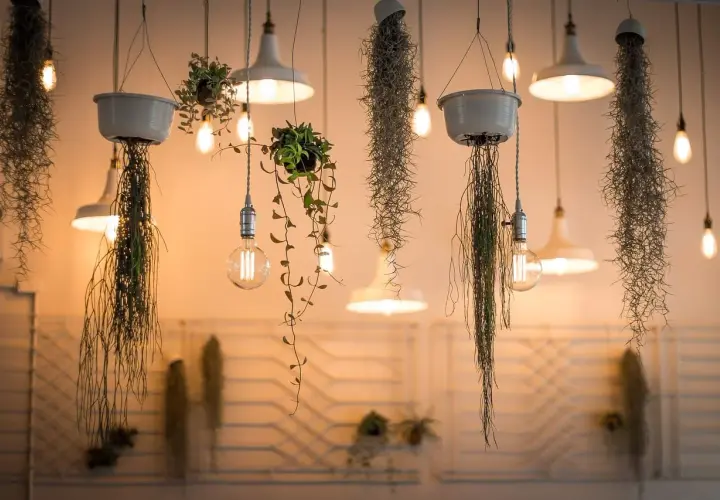 Wiszące rośliny i lampy tworzą magiczne migotanie światła. Ciepłe żarówki oświetlają delikatne pnącza i zwisające mchy, tworząc przytulną atmosferę.