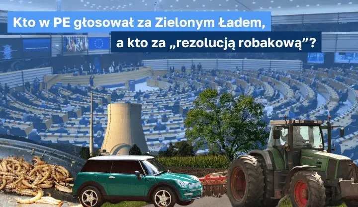 Kto głosował za zielonym ładem? Oto pełna lista europosłów
