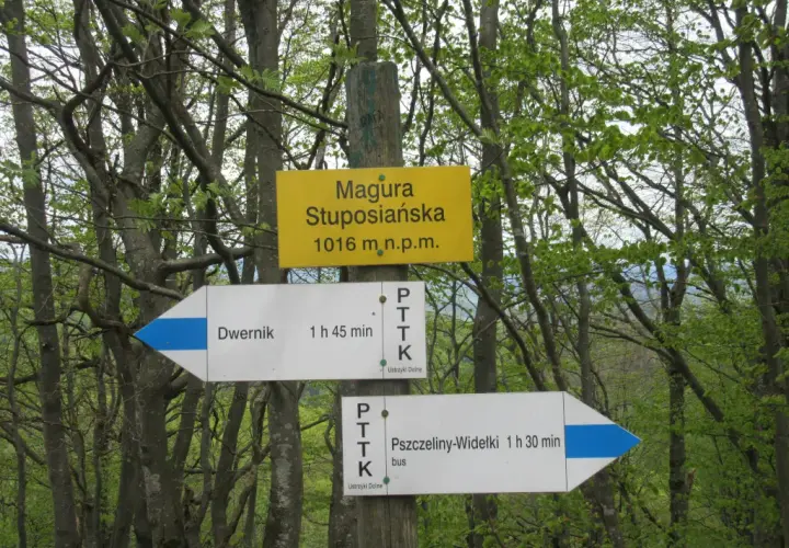 Co oznaczają szlaki górskie i jak je rozpoznać w terenie