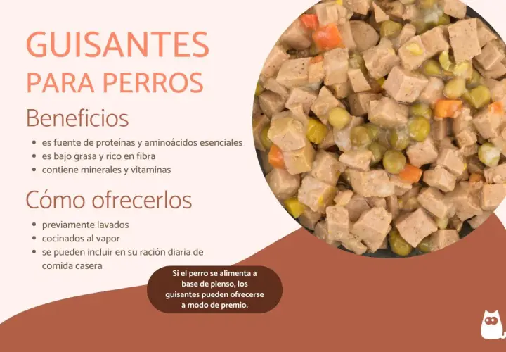 Primer plano de un cuenco de comida para perros con trozos de carne, zanahoria y guisantes. Los perros pueden comer guisantes, son beneficiosos.