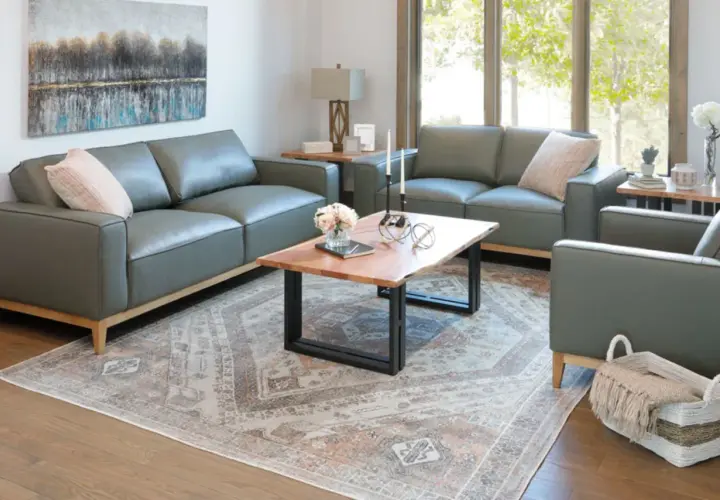A modern living room with grey leather sofas, a live-edge coffee table, and a Persian-style rug, perfect for a furniture style guide.