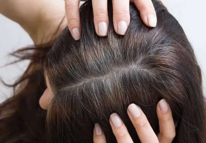 Manos revisan cabello oscuro con hebras grises, como si la leyenda de que si te quitas una cana salen mas fuera cierta.