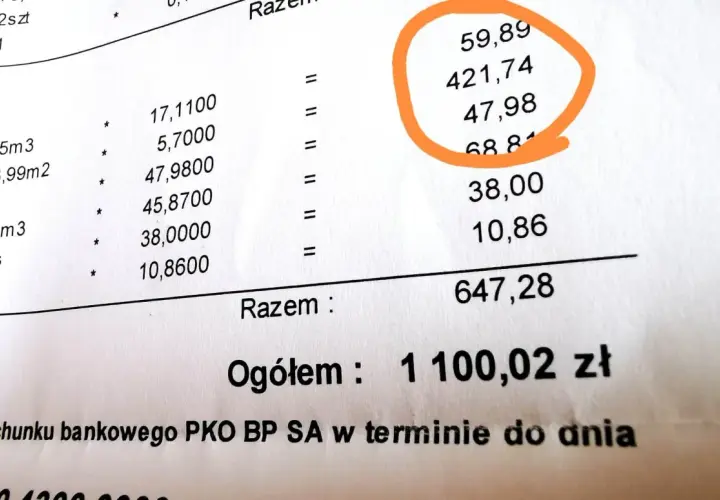 Szczegółowy rachunek za ogrzewanie w bloku. Jak obliczyć koszty ogrzewania w bloku? Suma opłat: 1100,02 zł.