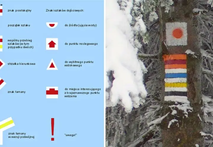 Kolorowe znaki szlaków turystycznych namalowane na drzewie w zimowej scenerii.