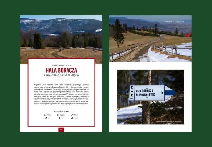 Beskid Żywiecki: trasa z Węgierskiej Górki na Halę Boraczą. Piękne widoki i historia, idealne **beskidy atrakcje dla dzieci**.