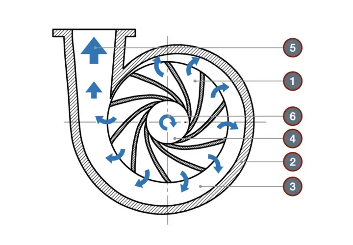 Schemat pompy odśrodkowej z oznaczeniami: 1- wirnik, 2- obudowa, 3- wlot, 4- wylot, 5- kierownica, 6- łopatki wirnika.