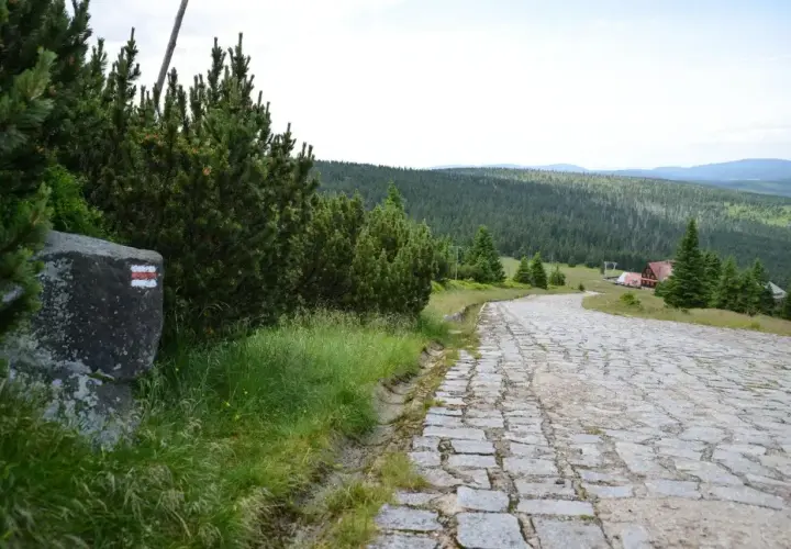 Kamienista droga prowadzi na szlak na Szrenicę. Po lewej stronie kamień z czerwono-białym oznaczeniem szlaku. W oddali las i budynki.