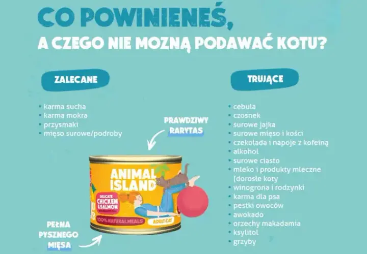 Surowe mięso dla kota: Jak karmić, by było zdrowo i bezpiecznie?