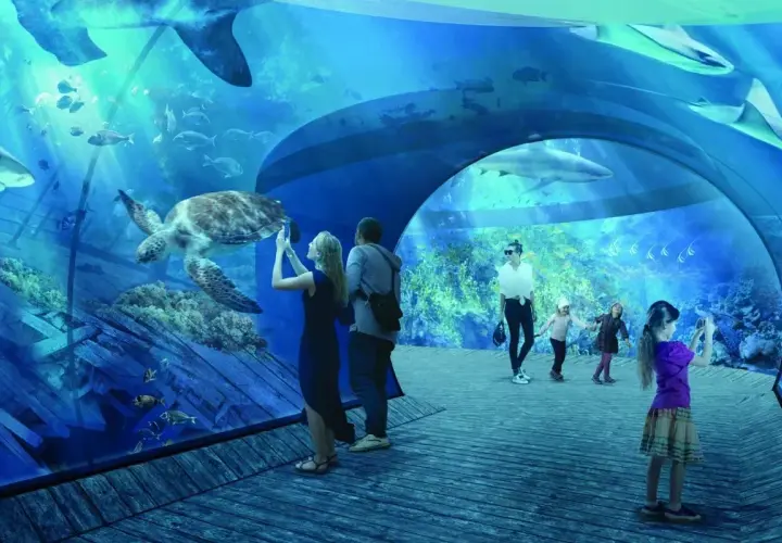 Rodzina podziwia żółwia i rekiny w tunelu podwodnym. Niezapomniane atrakcje w Oceanarium Gdańsk!