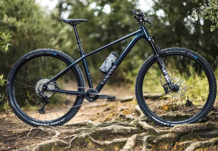 A dark blue Canyon 29er bike with Schwalbe tires rests on a root-covered trail, ready for adventure.