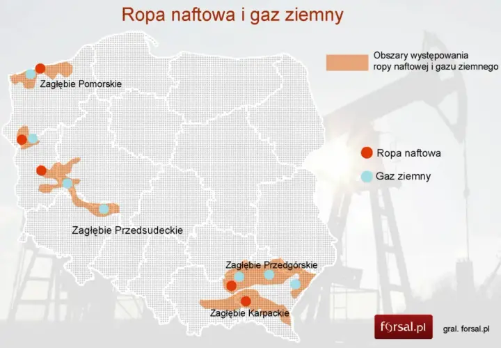 Mapa Polski z zaznaczonymi obszarami występowania ropy naftowej i gazu ziemnego. Widać zagłębia: Pomorskie, Przedsudeckie, Przedgórskie i Karpackie.