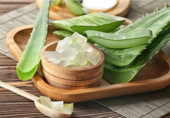 Gel de aloe vera fresco en un cuenco de madera, ideal para un tratamiento de aloe vera para el cabello sin enjuagar.