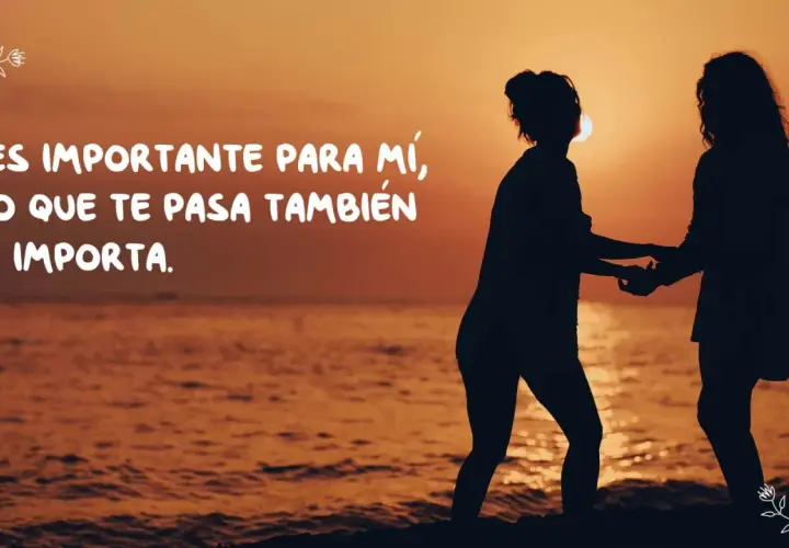 Siluetas de dos amigas tomadas de la mano al atardecer, con la frase "Eres importante para mí, y lo que te pasa también me importa", ideal para frases para amigas especiales.