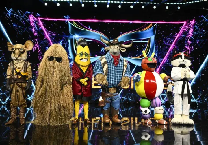 Masked singer deltagare: en mus, en gräshög, en banan, en tjur, en insekt och en katt.