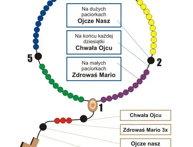 Kiedy zaczyna się różaniec w kościele? Sprawdź godziny i harmonogram modlitwy