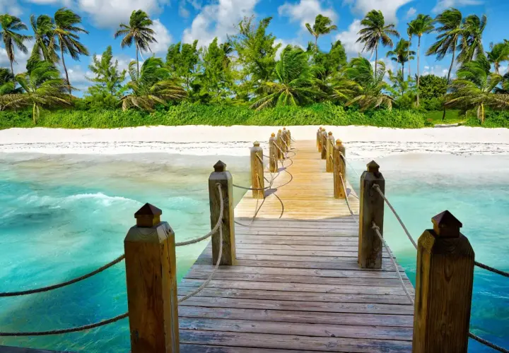 Drewniany pomost prowadzi do rajskiej plaży z palmami. Idealne miejsce na odkrywanie atrakcji Punta Cana.