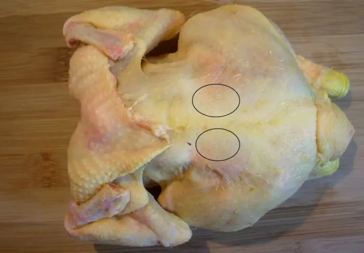 Un poulet cru sur une planche à découper en bois. Deux zones sont encerclées, montrant des fibres musculaires. On dirait que le sot l'y laisse est prêt à être cuisiné.