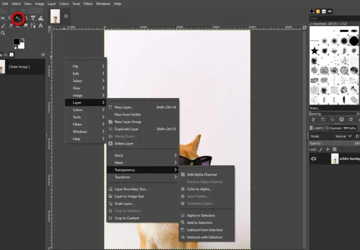 GIMP: menu Warstwa > Przezroczystość > Dodaj kanał alfa. Użyj tej opcji, aby uzyskać przezroczystość gimp.