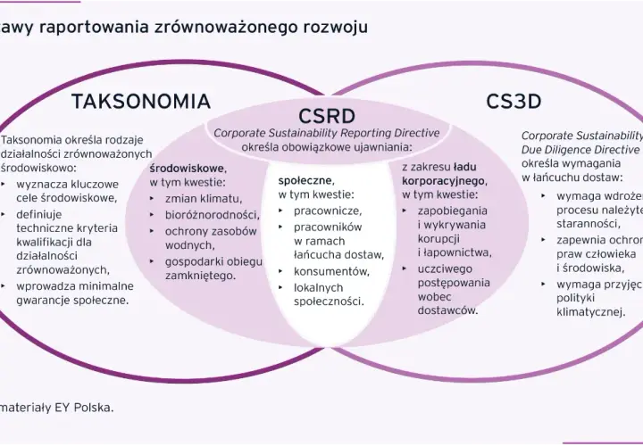 Raport zrównoważonego rozwoju: Kluczowe informacje i przykłady firm