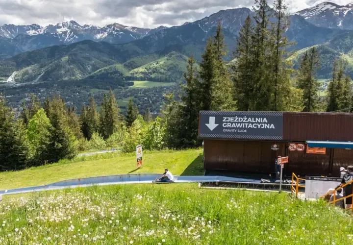 Zakopane: Co zwiedzić? Przewodnik na każdą pogodę i kieszeń!
