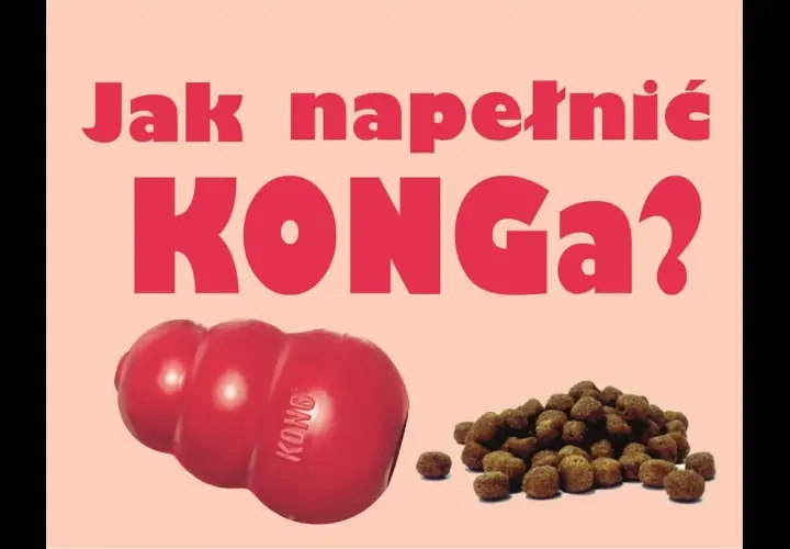KONG dla psa: Jak używać, napełniać i czyścić? Przewodnik