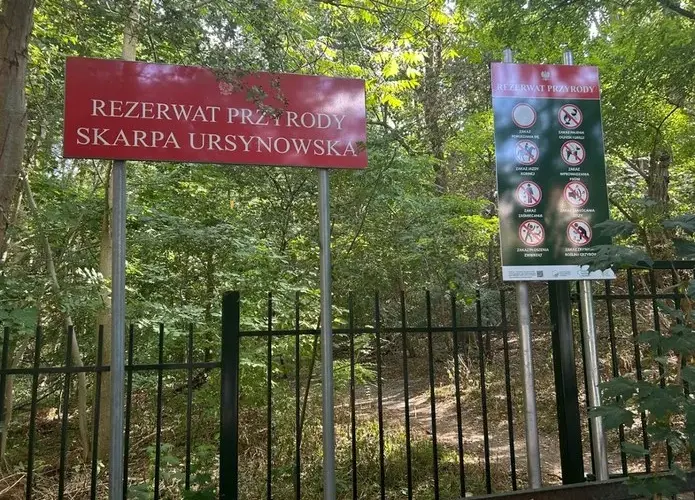 Rezerwat przyrody Skarpa Ursynowska - tajemnice i unikalne ekosystemy