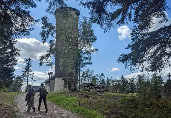 Jak dojść na Borówkową Górę – najłatwiejsze trasy i porady
