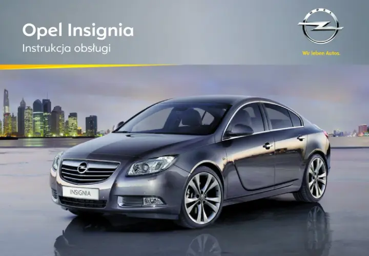 Szary Opel Insignia na tle miasta nocą.