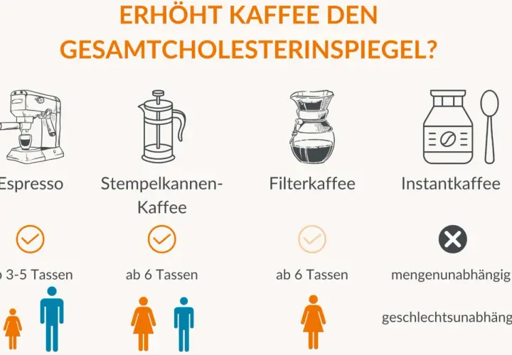 Filterkaffee beeinflusst den Cholesterinspiegel weniger als andere Kaffeearten. Die Grafik zeigt, wie verschiedene Zubereitungen wirken.