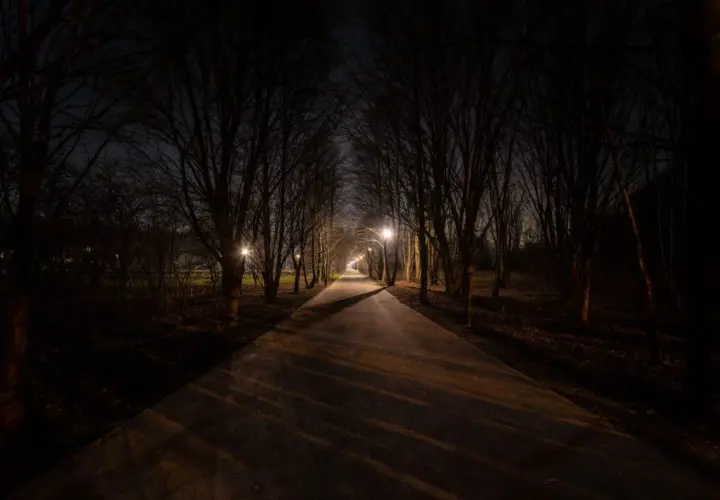 Aleja drzew nocą, oświetlona latarniami. Cienie padają na ścieżkę, tworząc wrażenie kurzej ślepoty.