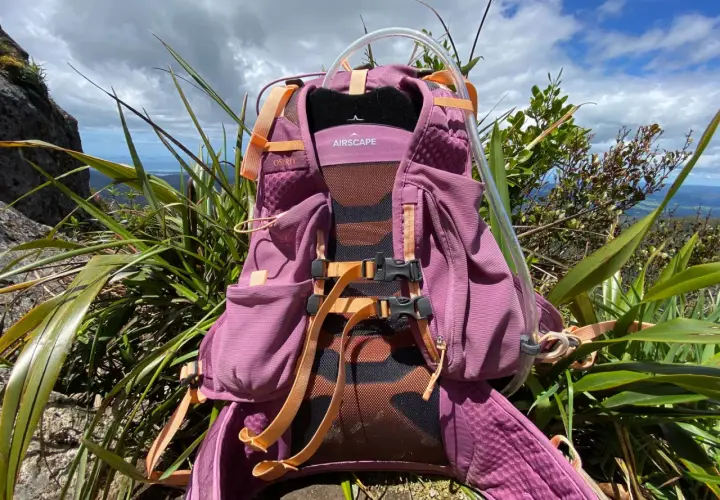 Firma Osprey to synonim jakości w outdoorze. Ten fioletowy plecak z systemem Airscape gotowy na górską przygodę.