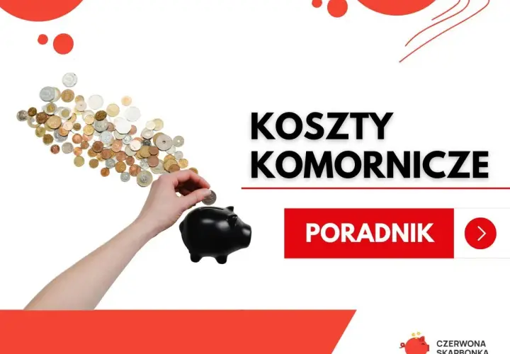 Jak uniknąć kosztów komorniczych? Praktyczne sposoby dla dłużników