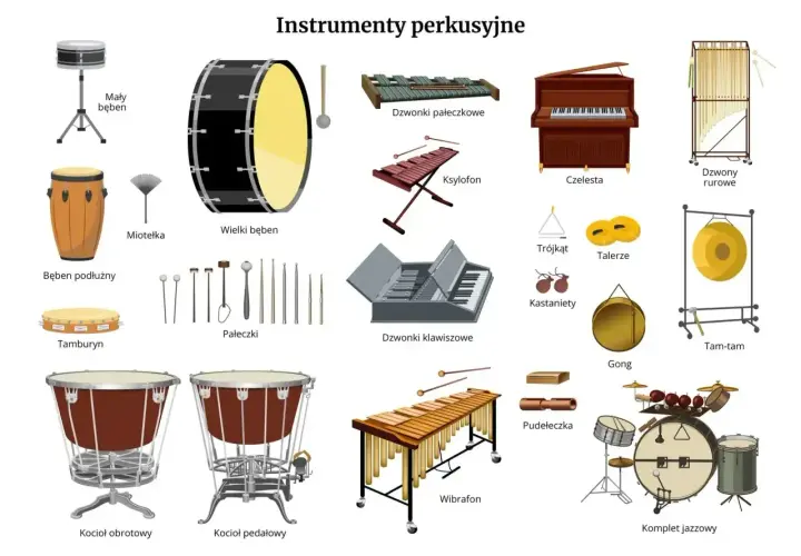 Ilustracja przedstawia różnorodne instrumenty perkusyjne: bębny, ksylofon, dzwonki, fortepian, gong, tam-tam, wibrafon i komplet jazzowy.