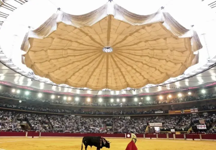 Un torero y un toro en la arena de la plaza de toros La Misericordia, con el público en las gradas y un llamativo techo desplegable.