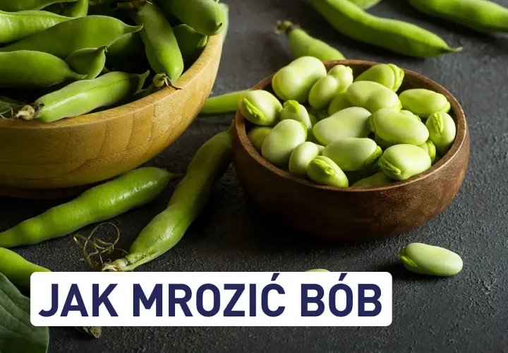 Świeży bób w łuskach i wydłubane ziarna w miseczkach. Dowiedz się, jak mrozić bób, by cieszyć się nim dłużej.