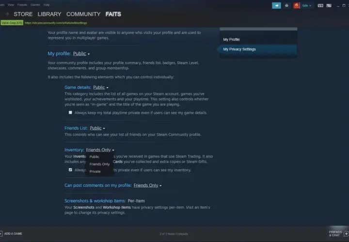 Ustawienia prywatności Steam, aby móc udostępnić swój trade URL na CSGO skins. Zmień widoczność ekwipunku na "Publiczny".