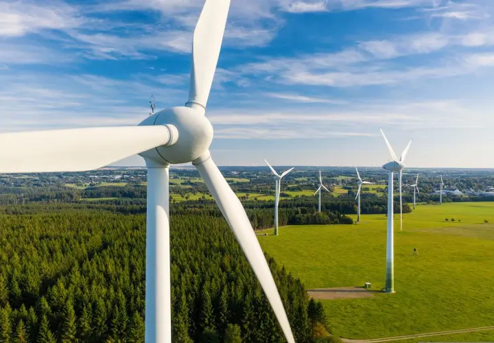 Rodzaje elektrowni: Węgiel, OZE, Atom co napędza Polskę?