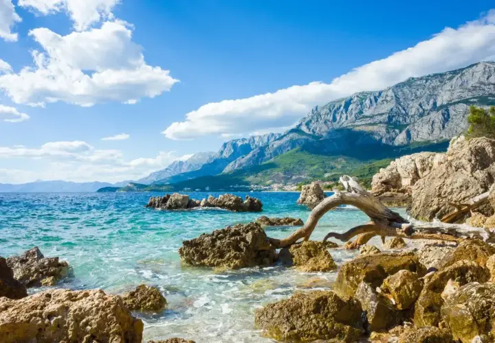 Skalista plaża nad turkusowym morzem egejskim, z górami w tle i dryfującym drewnem na pierwszym planie.