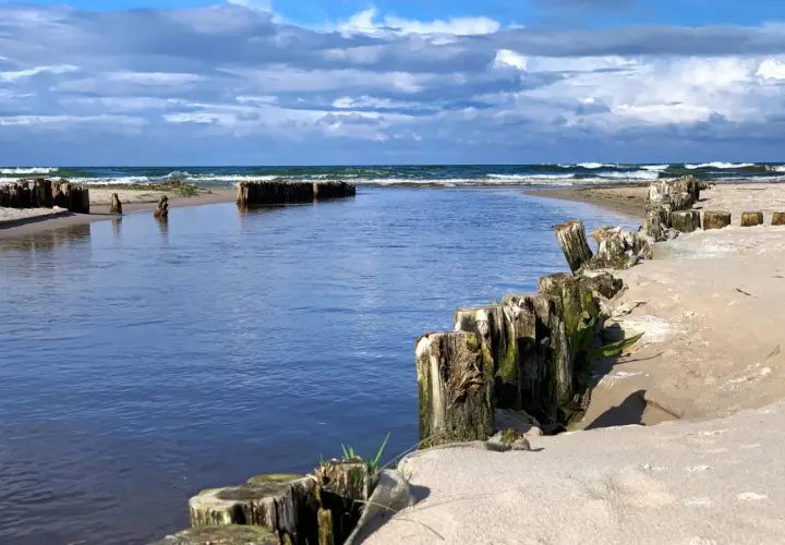Spokojna plaża z drewnianymi słupkami i wodą, idealne miejsce na jednodniowe wycieczki z Gdańska.
