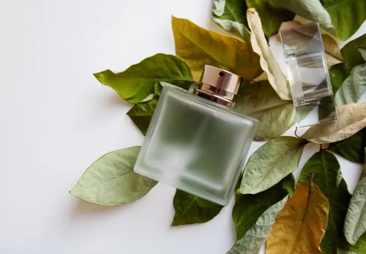 Szklana butelka perfum otoczona liśćmi, przywołująca zapach fougere.