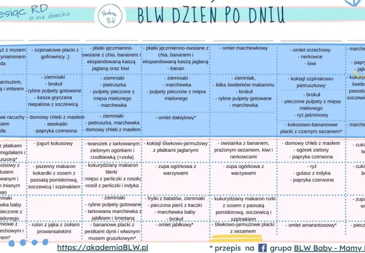BLW przepisy 6 miesięcy: placuszki marchewkowe z tofu, zupa ogórkowa, omlety, pulpety rybne, makaron z warzywami.