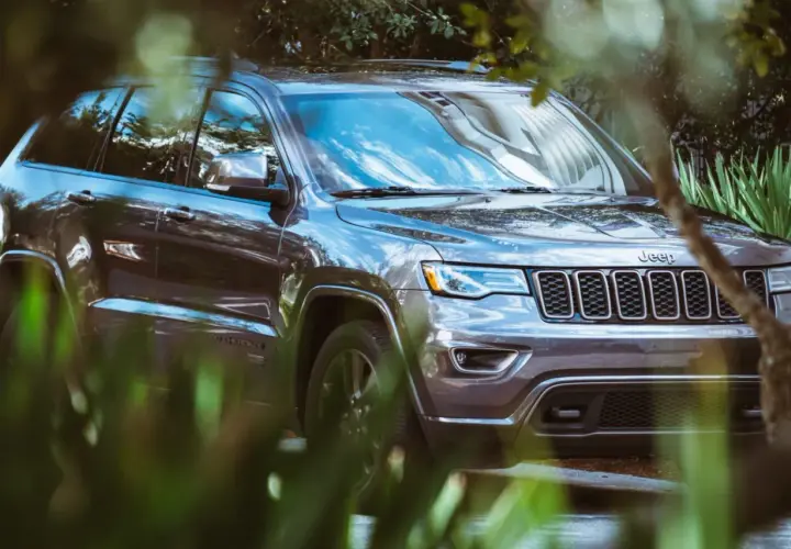 Szary Jeep Grand Cherokee 3.6 zaparkowany wśród zieleni.