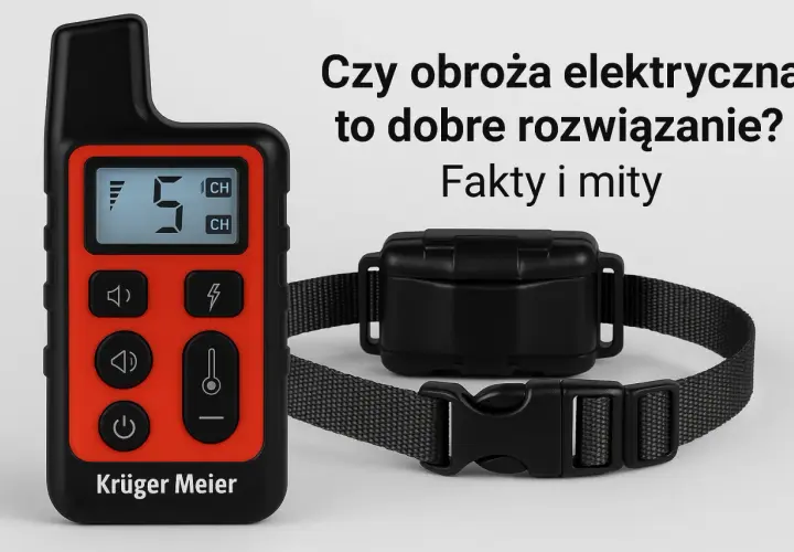 Pilot i obroża do szkolenia psów na neutralnym tle.