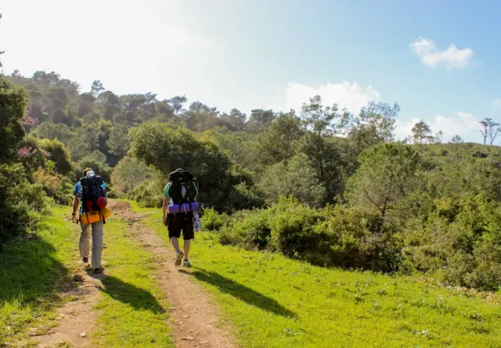 Zwei Wanderer mit Rucksäcken auf einem Feldweg, bereit für einen dreitägigen rundwanderweg durch eine grüne, hügelige Landschaft.