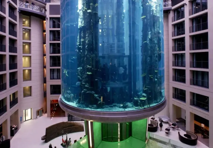 AquaDom Berlin : Pourquoi le géant aquarium s'est-il effondré ?