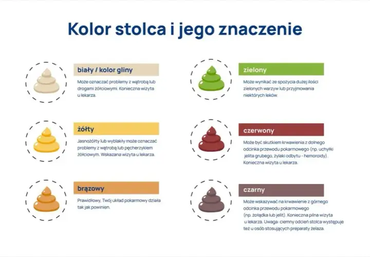 Ciemnozielony kał u psa: Co to znaczy i kiedy martwić się?