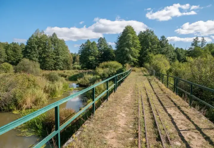 Most starych torów kolejowych przez bagna w Białowieskim Parku Narodowym.