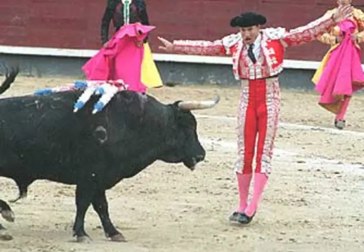 Un torero en traje de luces se enfrenta a un toro con banderillas en el lomo, durante el tercio de banderillas.