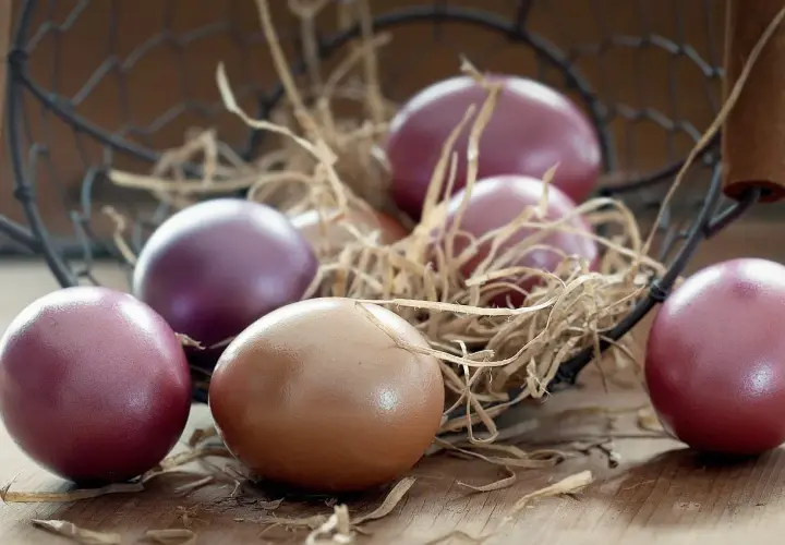 Œufs de poule Marans aux teintes pourpres et brunes, nichés dans un panier en paille sur fond de bois.